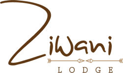 Ziwani Lodge